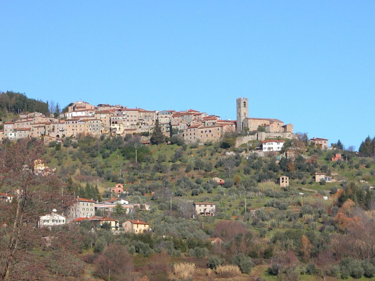 Belvilla By Oyo Olivi Giallo San Quirico  Exteriér fotografie