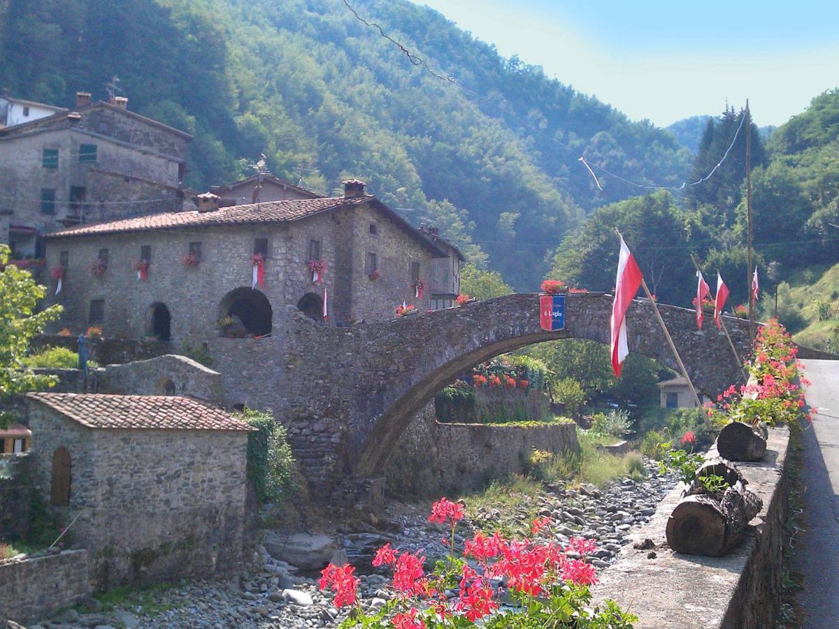 Belvilla By Oyo Olivi Giallo San Quirico  Exteriér fotografie